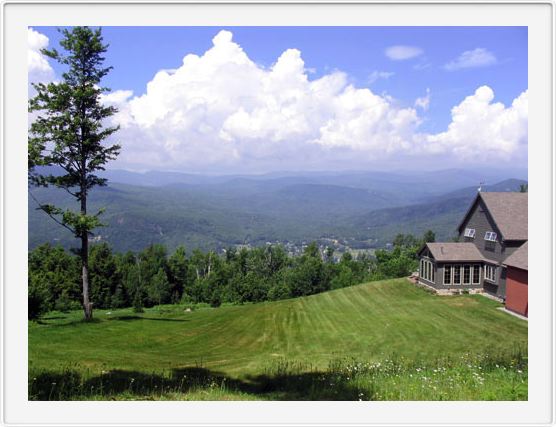 High Meadow in Summer