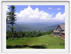 High Meadow in Summer