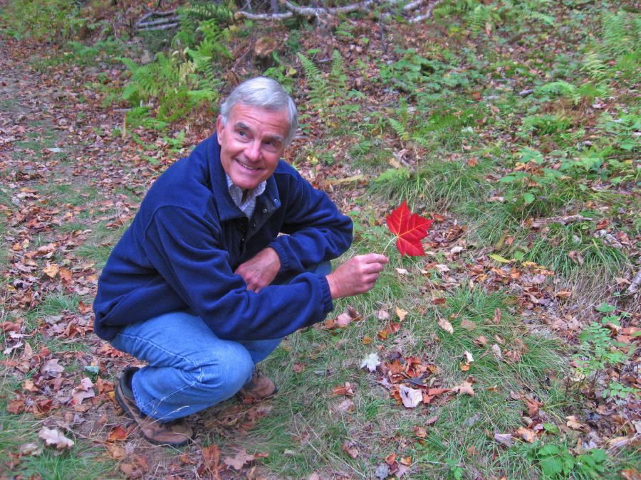 ACE's Favorite Leaf