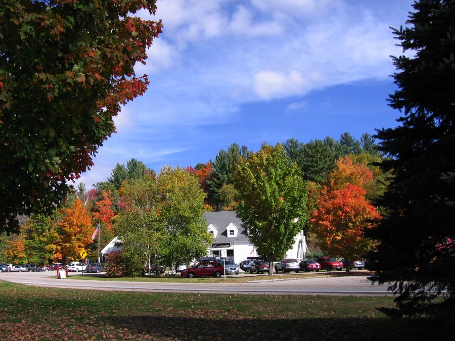 Jackson in Autumn