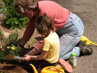 Gardening Helper