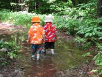 Trail Wading