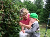 Berry Picking Training