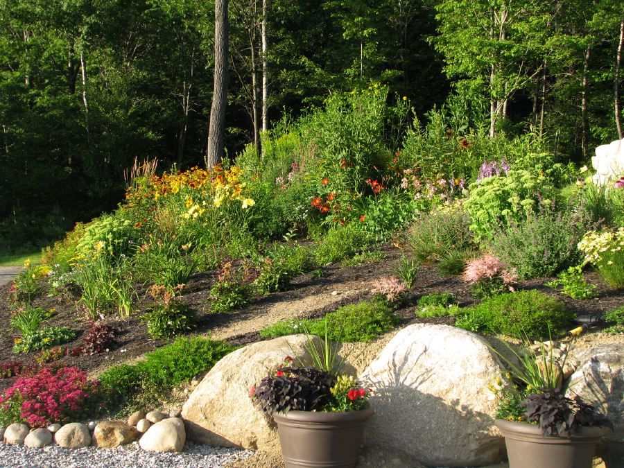 Corner Garden in August