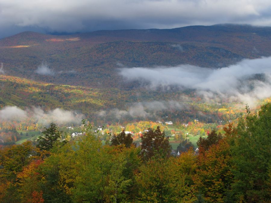 Jackson Through the Fog