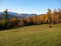 Autumn Chores