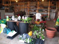 Potting Shed Extension