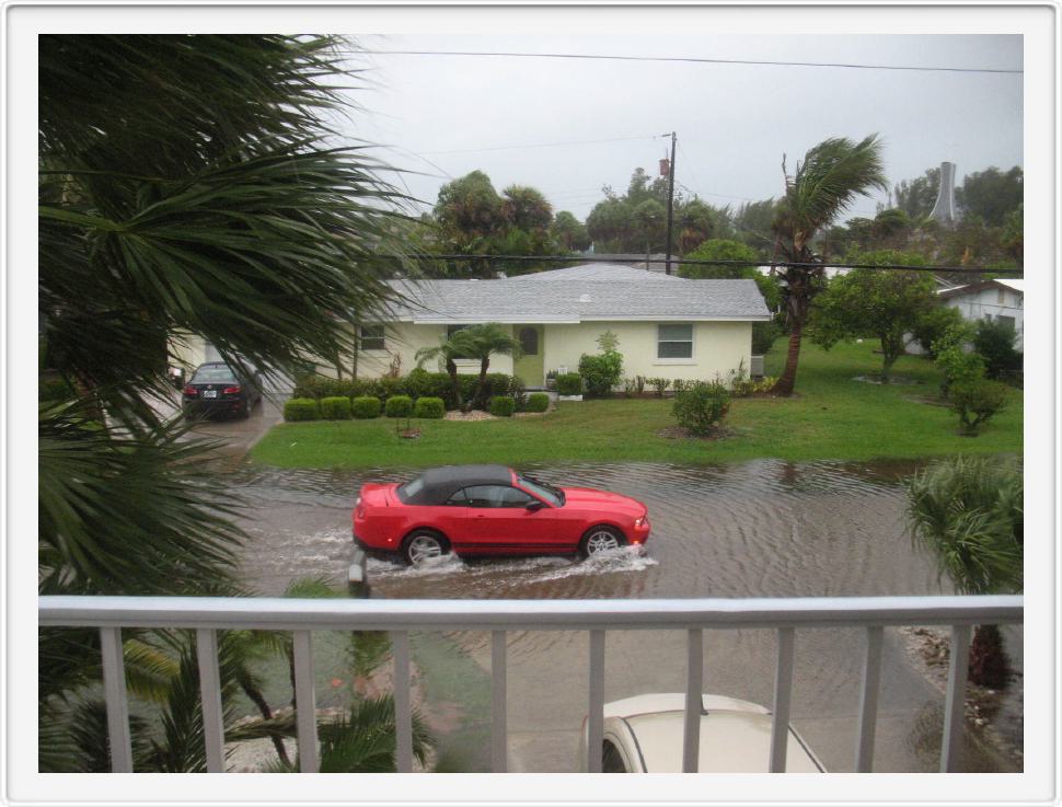 Post-storm Puddle in Anna Maria