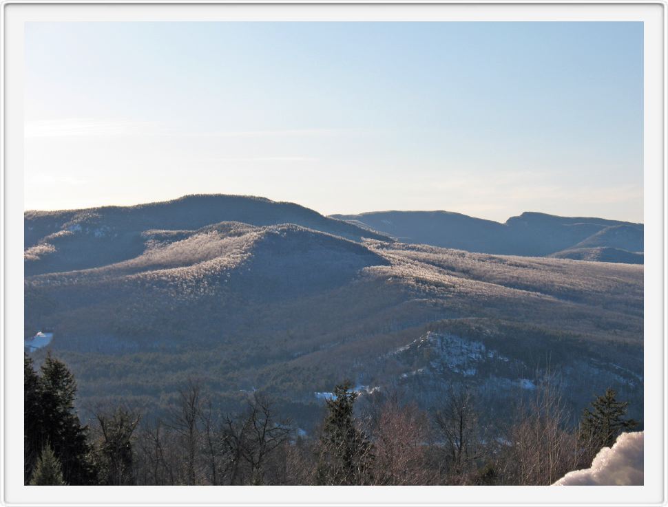 Frozen Landscape