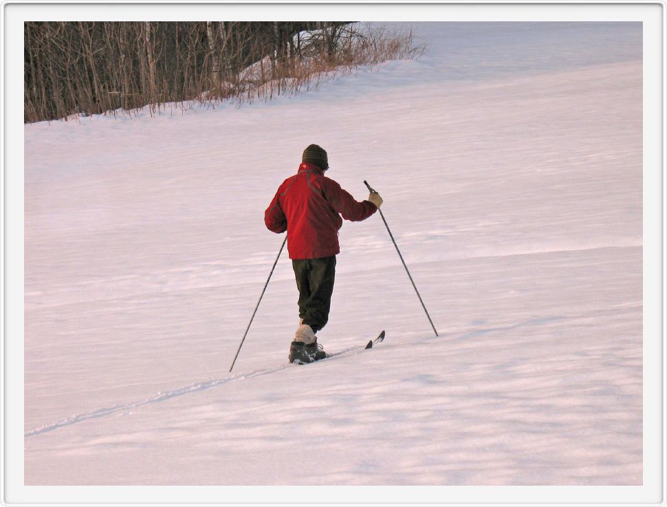 Lonesome Skier