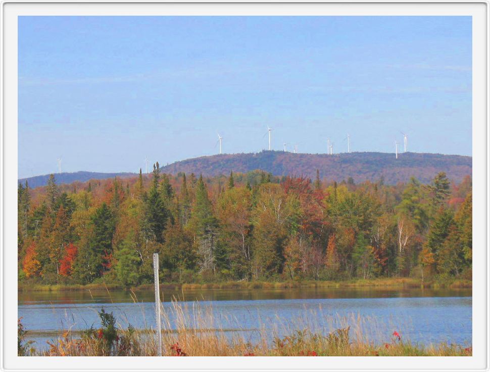 White Poles in the White Mtns