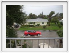 Post-storm Puddle in Anna Maria