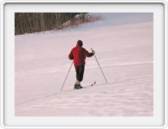 Lonesome Skier