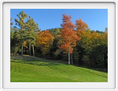 Upper High Meadow in Color 