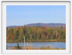 White Poles in the White Mtns