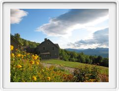 Framed by Flowers