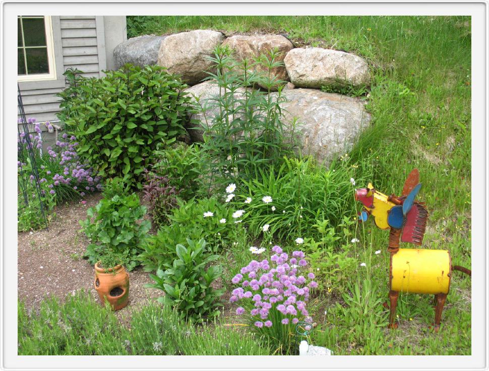 The Herb Garden