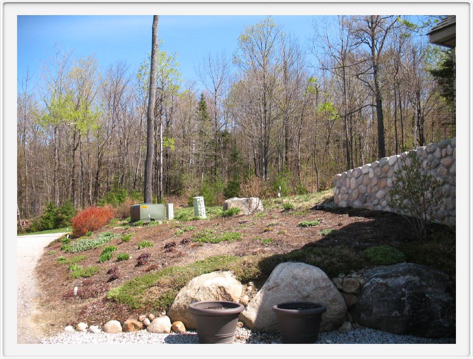 Corner Garden in April