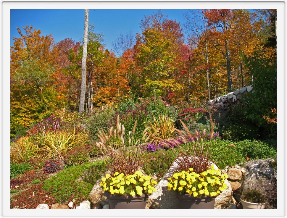 Corner Garden in Autumn