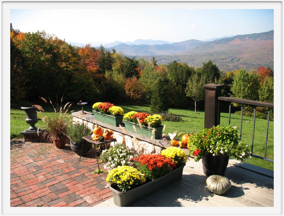 Patio Garden