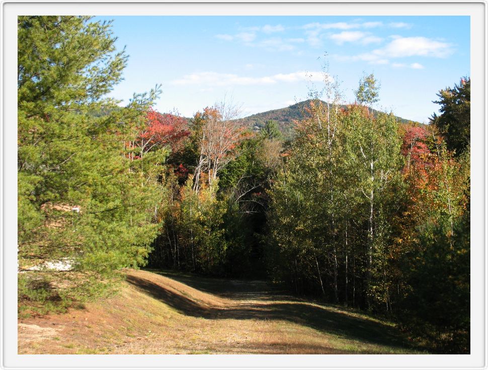 Can You See High Meadow?