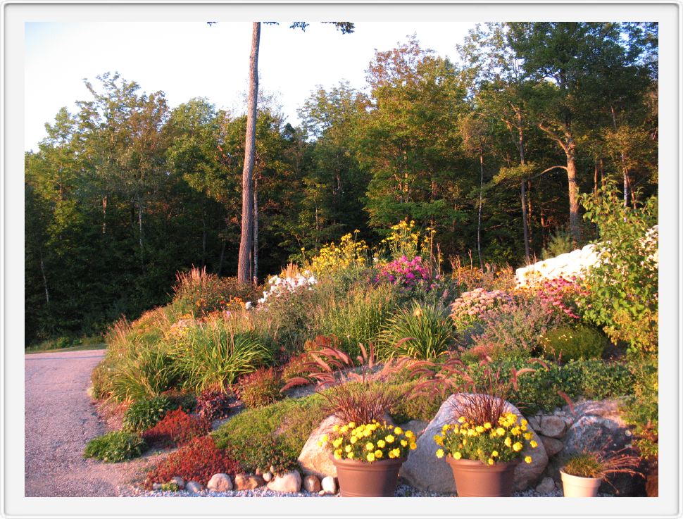 Corner Garden Starting to Turn