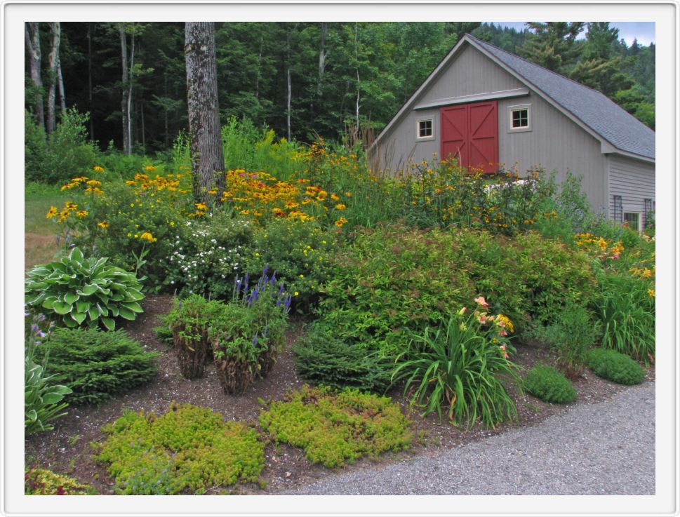 Corner Garden in Proliferation - July