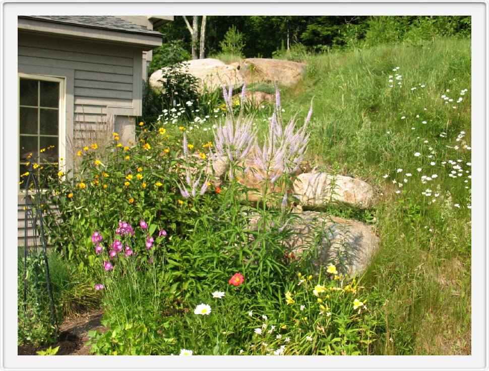 Outside the Garden Shed