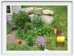 The Herb Garden