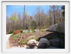 Corner Garden in April