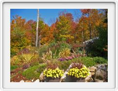 Corner Garden in Autumn