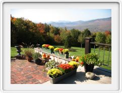 Patio Garden