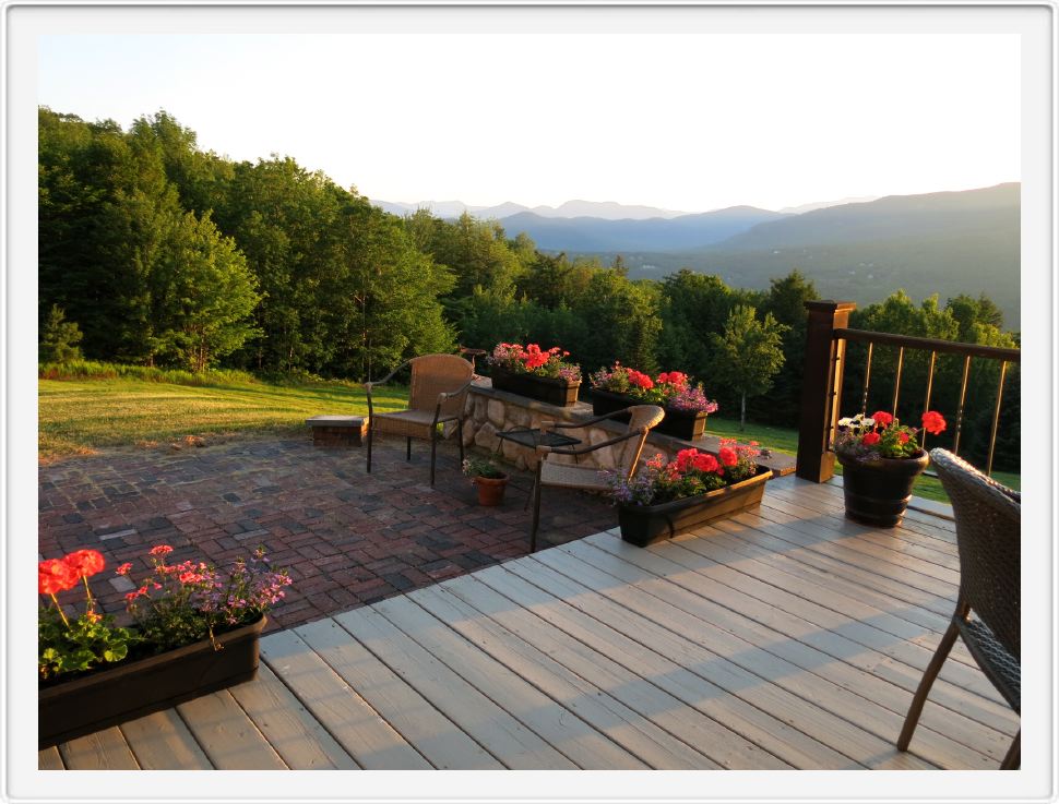 Patio Garden