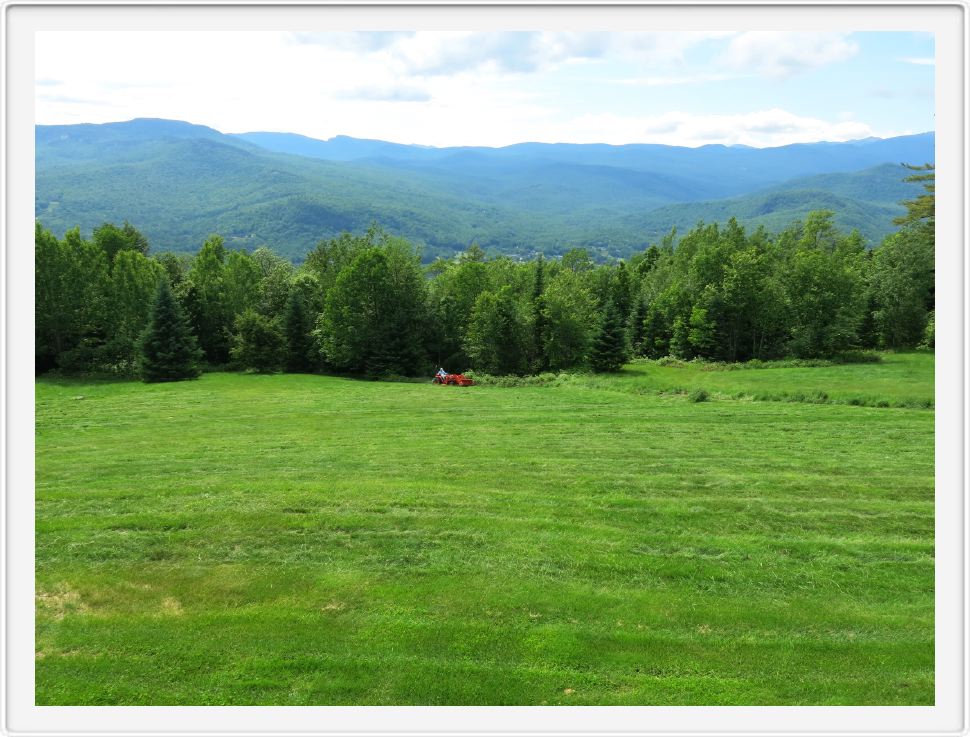 Mowing the Meadow