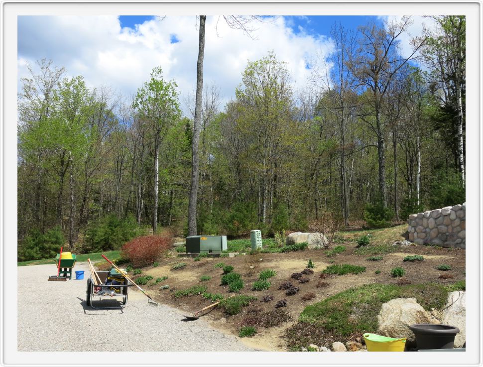 Corner Garden -Early May