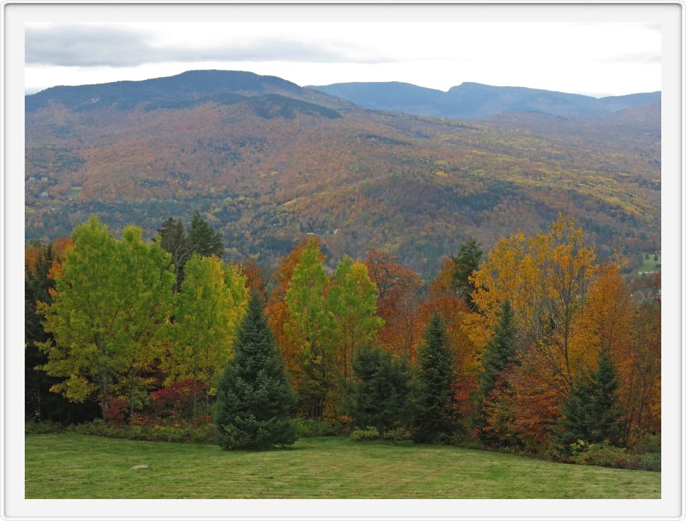 Autumn at High Meadow