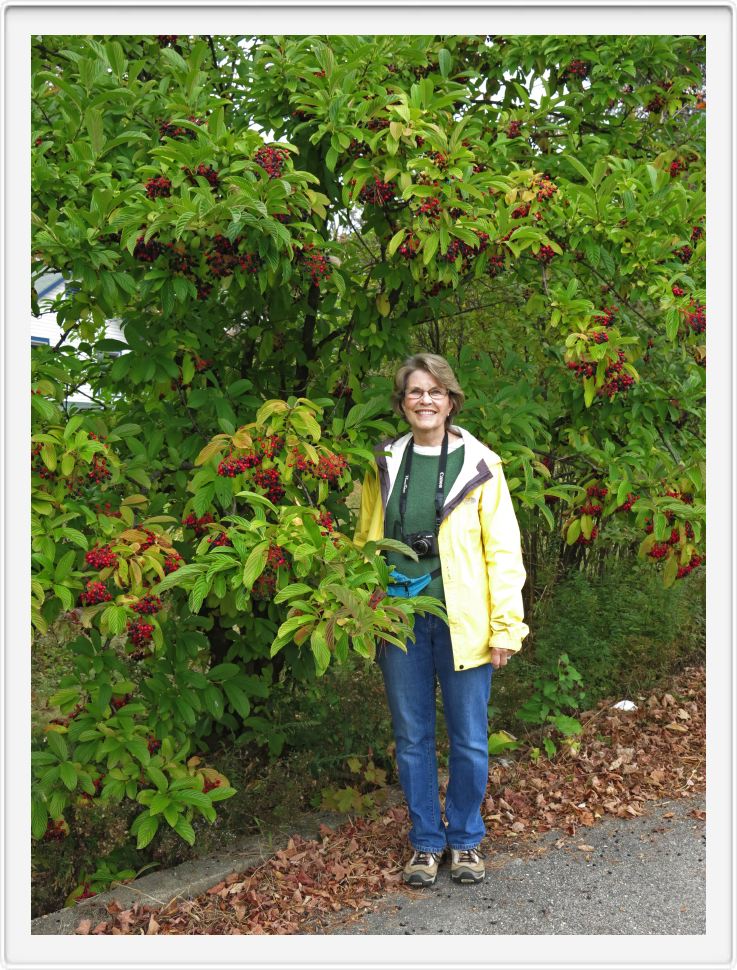 Wendy and a Berry Tree