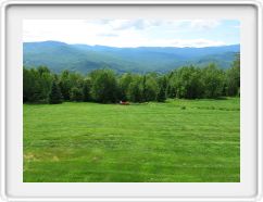 Mowing the Meadow