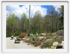 Corner Garden -Early May