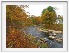 Jackson Fall Colors