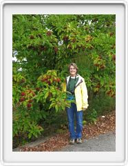 Wendy and a Berry Tree