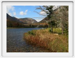 Autumn in Crawford Notch