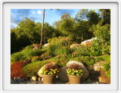 Corner Garden - September