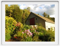 Good View of Barn