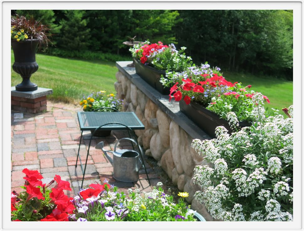 Wendy's Window Boxes