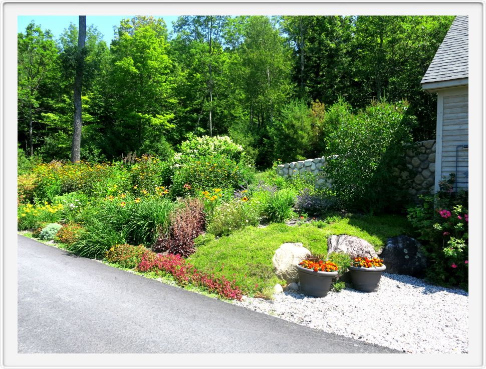 The Corner Garden in July