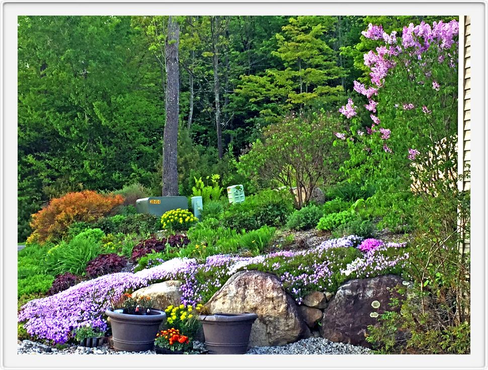 The Corner Garden Getting Ready to Bloom