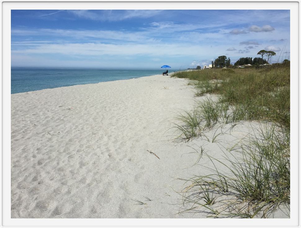 Deserted Beach in Venice, FL