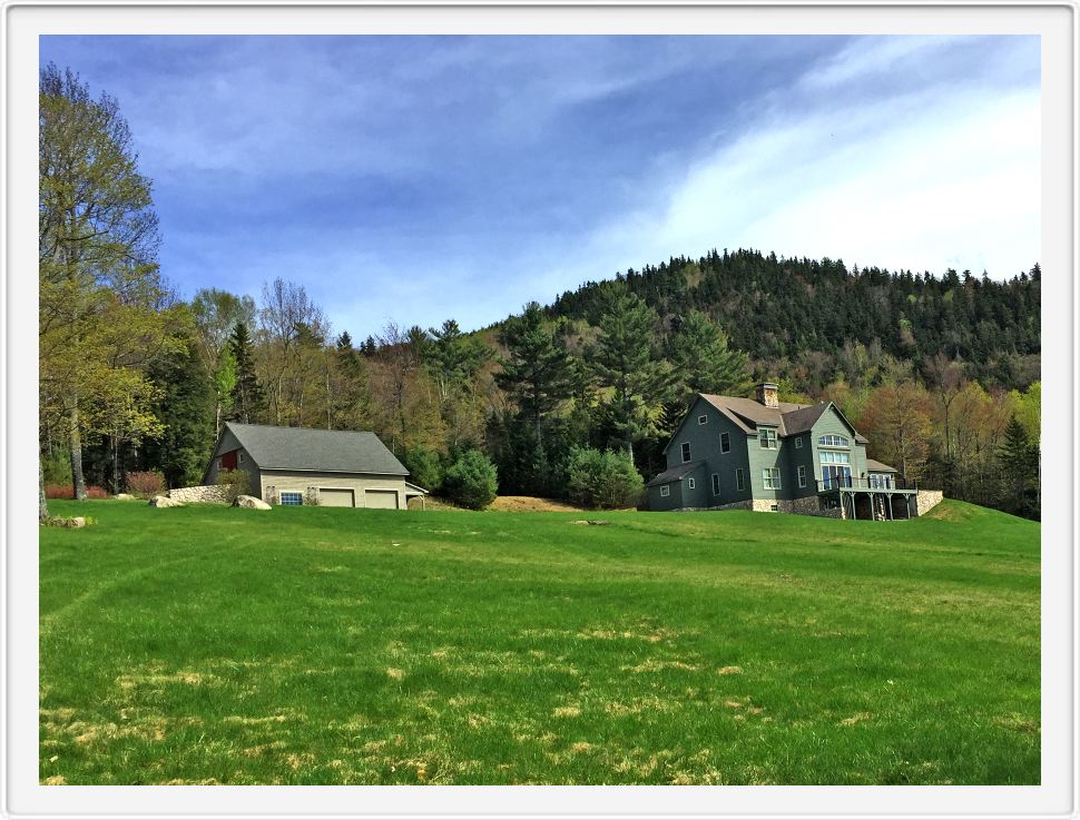 High Meadow in Mid-May