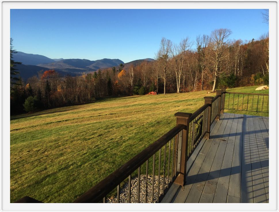 Meadow in November